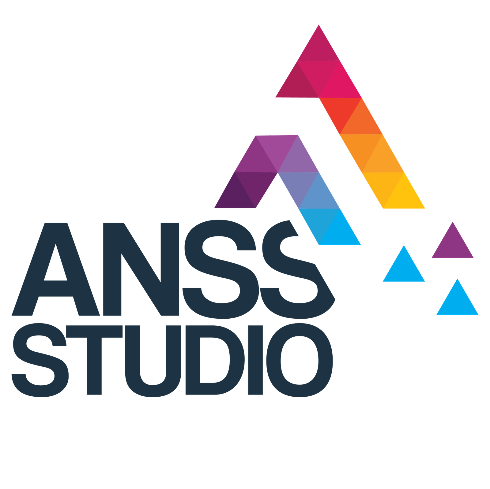 staging.anssstudio.com